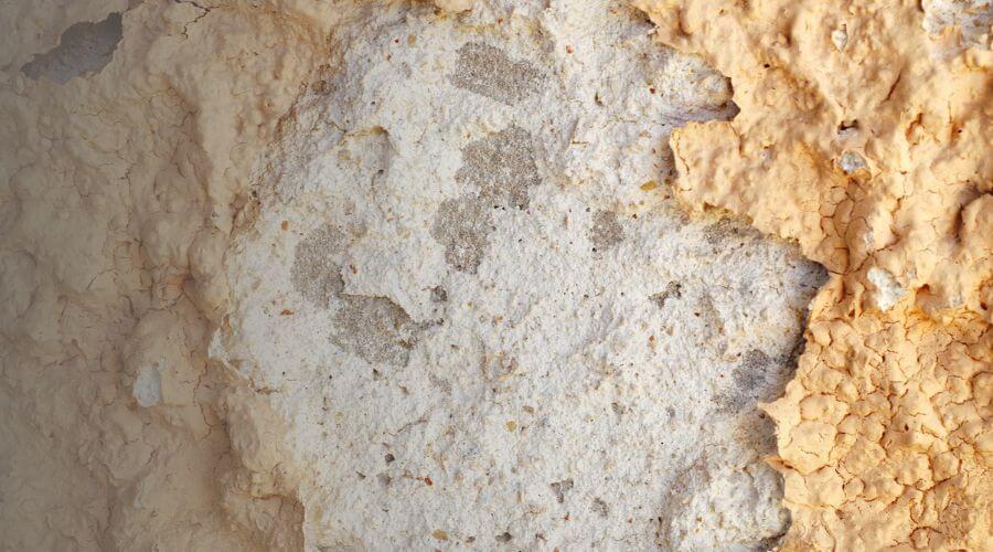 Why choose water damage restoration service for emergency water extraction services in Conroe